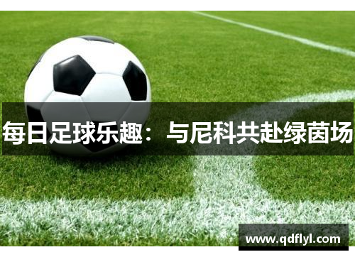 每日足球乐趣:与尼科共赴绿茵场 每日足球乐趣:与尼科共赴绿茵场